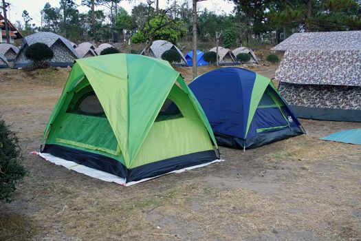 Campsite in the forest with many tents