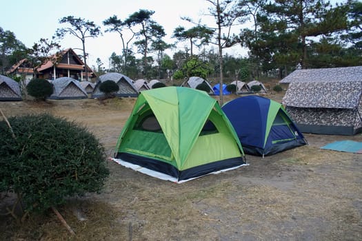 Campsite in the forest with many tents