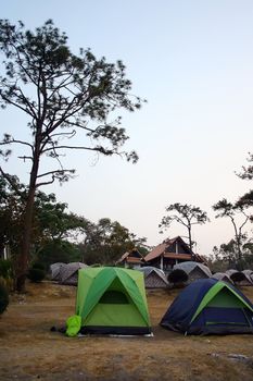 Campsite in the forest with many tents