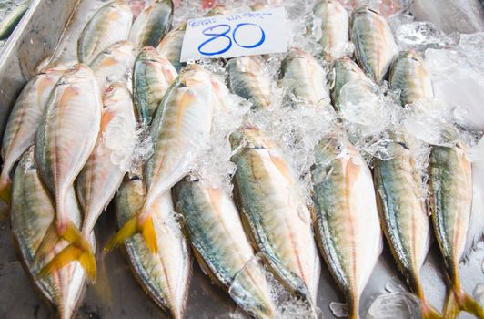 a lot of fresh raw mackerel fish in fresh market