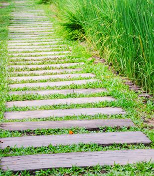 wooden path walkway through the green grass