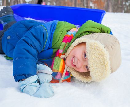 Cute little boy on sleds in snow forest.