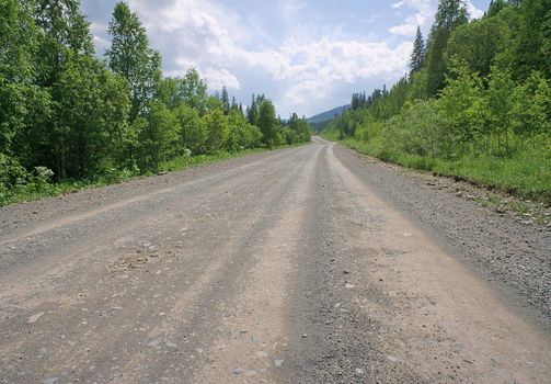 The dirt road going into the distance in the woods, on a sunny summer day.