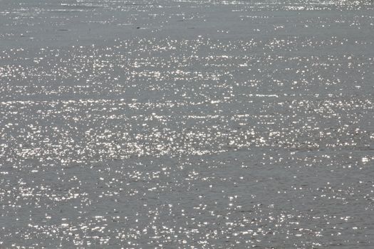 Reflection of light on water, sparkling beauty.