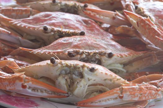 Big red fresh steamed crabs to eat