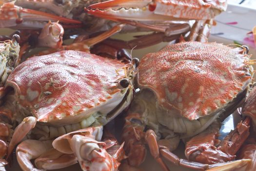 Big red fresh steamed crabs to eat