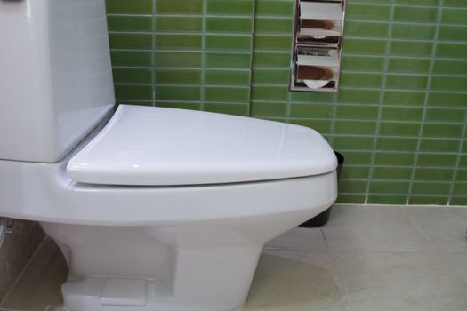 White sanitary ware and tissues in green bathroom