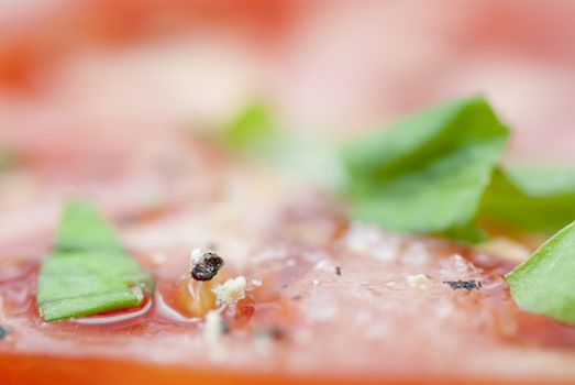 Macro image of slices of Tomato prepared with oilive oil, basil, pepper & salt.