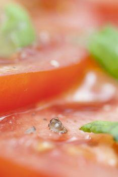 Macro image of slices of Tomato prepared with oilive oil, basil, pepper & salt.