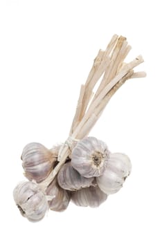 Bunch of tied garlic against white background.