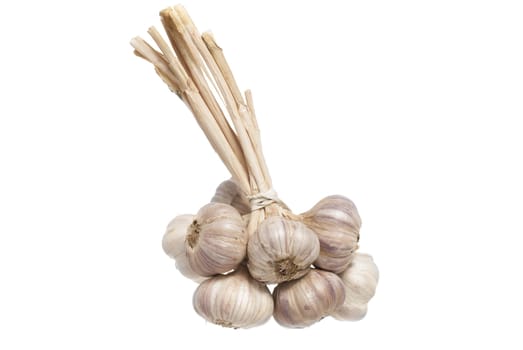 Bunch of tied garlic against white background.