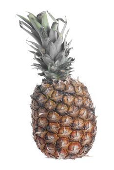 Whole pineapple set agains white background.