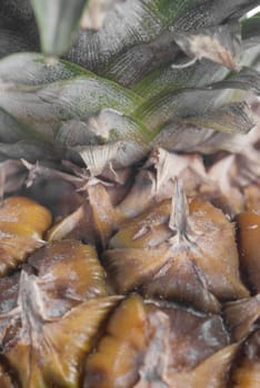 Macro image of pineapple skin.