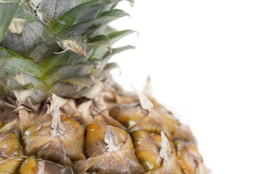 Cropped pineapple against white background.