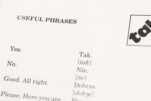 Macro image of first page of Polish phrase book.