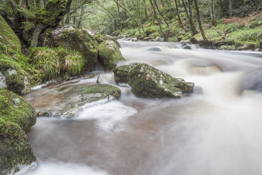 Slow shutter fast flowing river in woodland, Dartmoor, UK.
