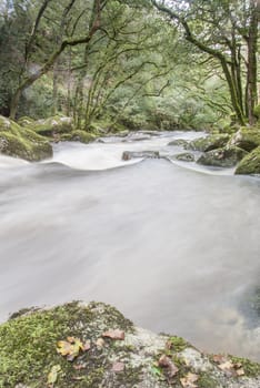 Slow shutter fast flowing river in woodland, Dartmoor, UK.