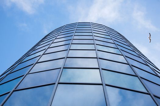 facade of office building with blue sky reflected and gull