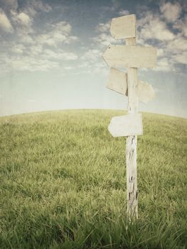 vintage picture of wooden signpost with grass and blue sky