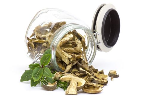 Dried mushrooms - boletus