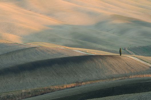 A typical landscape in the south of Tuscany)