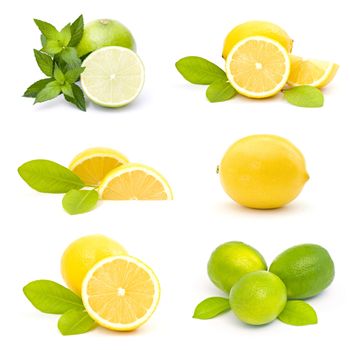 collection of fresh limes and lemons - collage