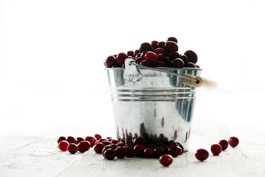 Fresh cranberries in a silver bucket on a white wooden table