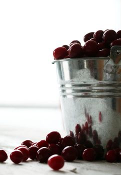 Fresh cranberries in a silver bucket on a white wooden table