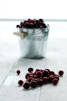 Fresh cranberries in a silver bucket on a white wooden table