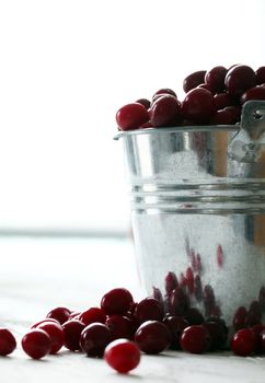 Fresh cranberries in a silver bucket on a white wooden table