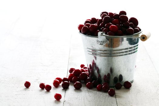 Fresh cranberries in a silver bucket on a white wooden table