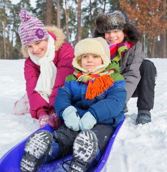 Children on sleds in snow forest. Vertical view.