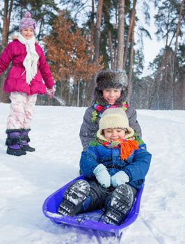 Children on sleds in snow forest. Vertical view.