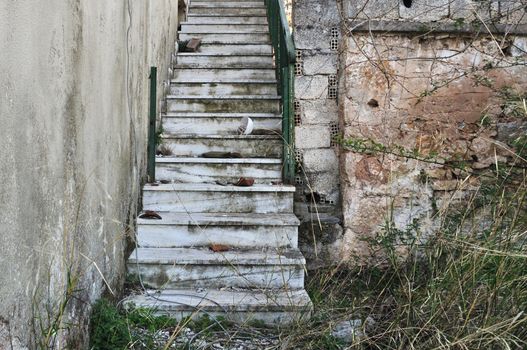 Abandoned house staircase, crumbling wall and overgrown plants.