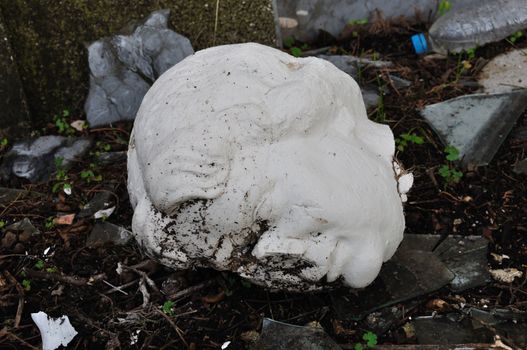 ATHENS - JANUARY 15: Statue head among debris in the garden of the abandoned house of sculptor Nikolaos Pavlopoulos (1909 - 1990). Athens Greece, January 15, 2013.