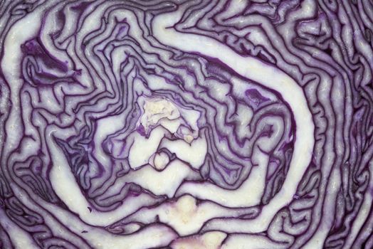 A red cabbage cut showing its texture
