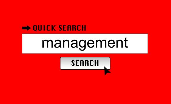 Searching for 'management' in an internet search engine.