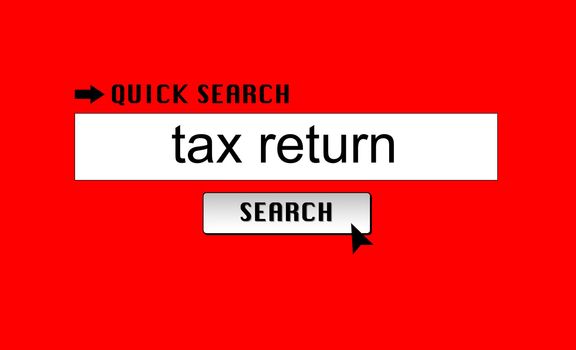 Searching for 'tax return' in an internet search engine.