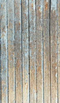 the blue old painted wooden fence, naturally weathered