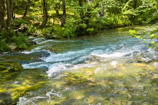 River in the forest in mountains of Crimea