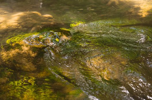 Divorce on the water in the Black river in Crimea