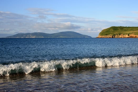 The tender waves running on coast of a beach