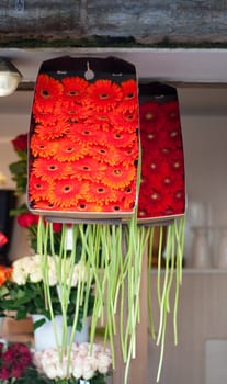 Shot of gerberas and other flowers on backstage