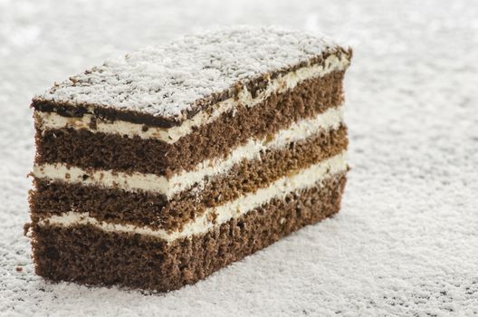 Delicious cake on shredded coconut flakes.