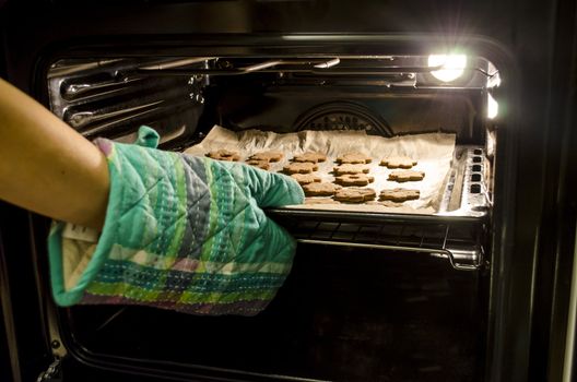 Taking baked cookies out of the oven with kitchen gloves. 