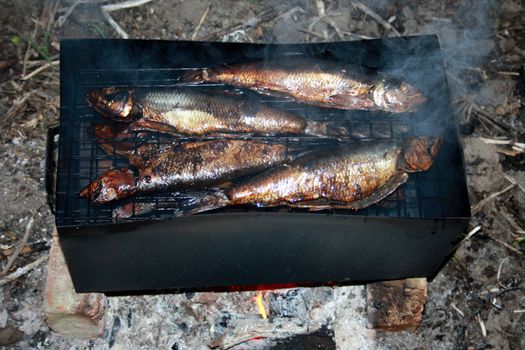 Fish a herring prepared on a smoke