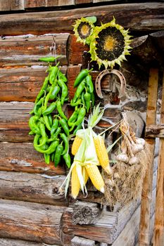 Burning pepper, garlic, corn and sunflower dry on the sun