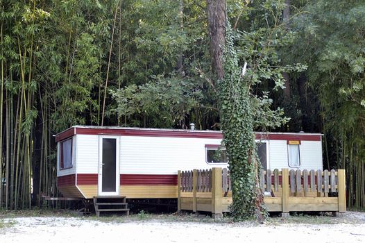 Vacancies with the camp-site