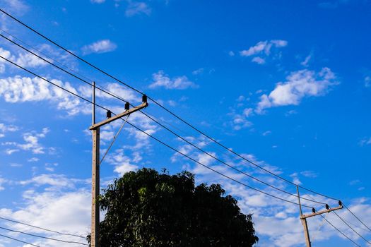 Electricity post
