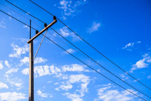 Electricity post